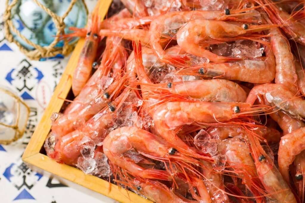札幌大通・海鮮居酒屋うおっとの3号店「北海道海鮮 個室居酒屋 うおっと 魚人 札幌駅北口店」が2026年10月14日にNEW OPEN！