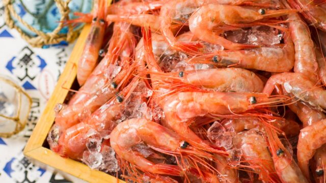札幌大通・海鮮居酒屋うおっとの3号店「北海道海鮮 個室居酒屋 うおっと 魚人 札幌駅北口店」が2026年10月14日にNEW OPEN!
