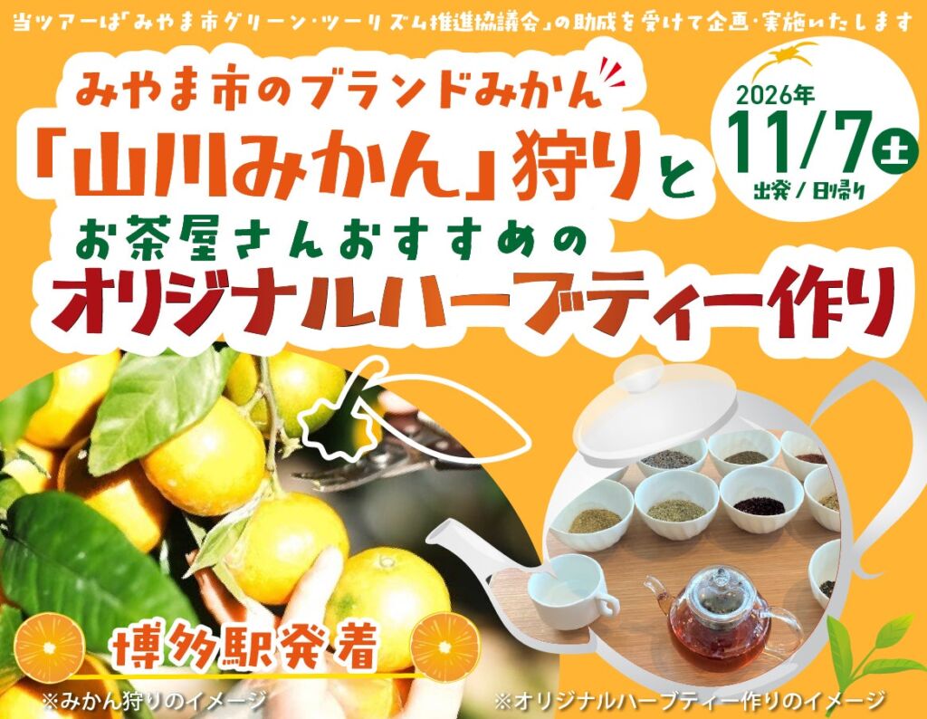 「北原早生」発祥の地で山川みかん狩りとハーブティー作り　JR九州が博多駅発着の日帰りツアーを発売中