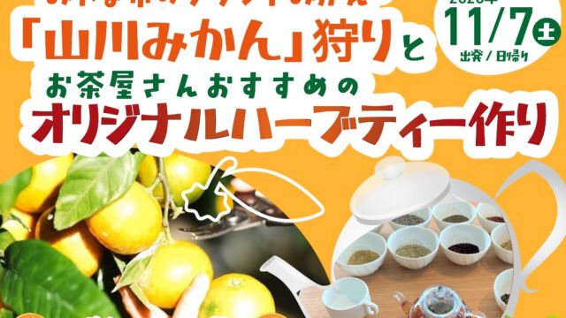 「北原早生」発祥の地で山川みかん狩りとハーブティー作り JR九州が博多駅発着の日帰りツアーを発売中