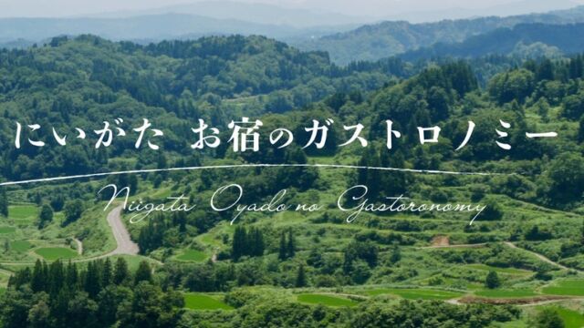 村上の鮭文化と新潟の地酒をペアリングで 『にいがたお宿のガストロノミー2026』発表会&試食会が11月26日に東京・京橋で